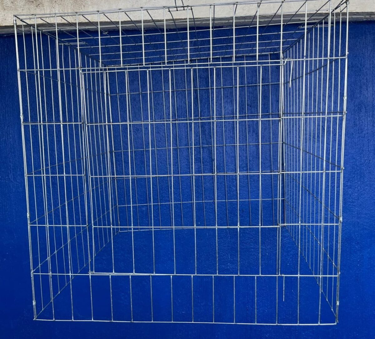 Rascadero Para Gallo 75cm