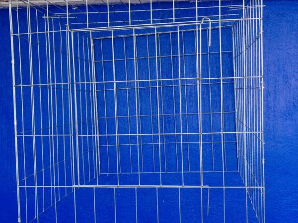 Rascadero Para Gallo 60cm