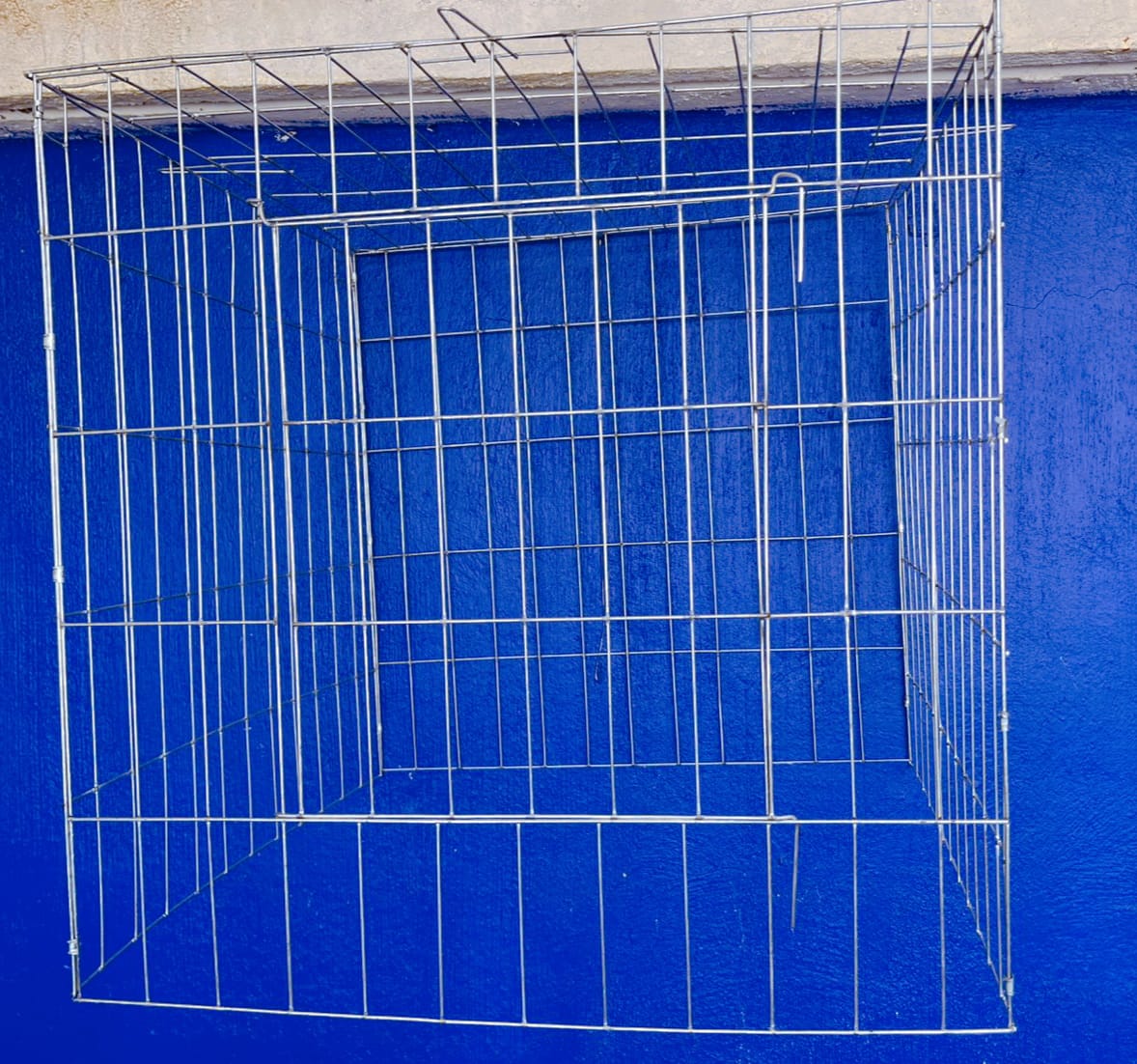 Rascadero Para Gallo 60cm
