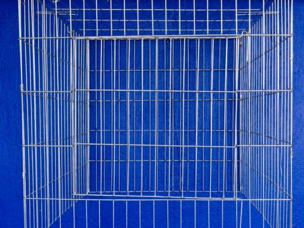 Rascadero para Gallo 50cm
