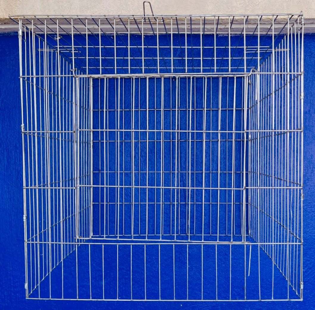 Rascadero para Gallo 50cm