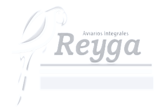 Reyga