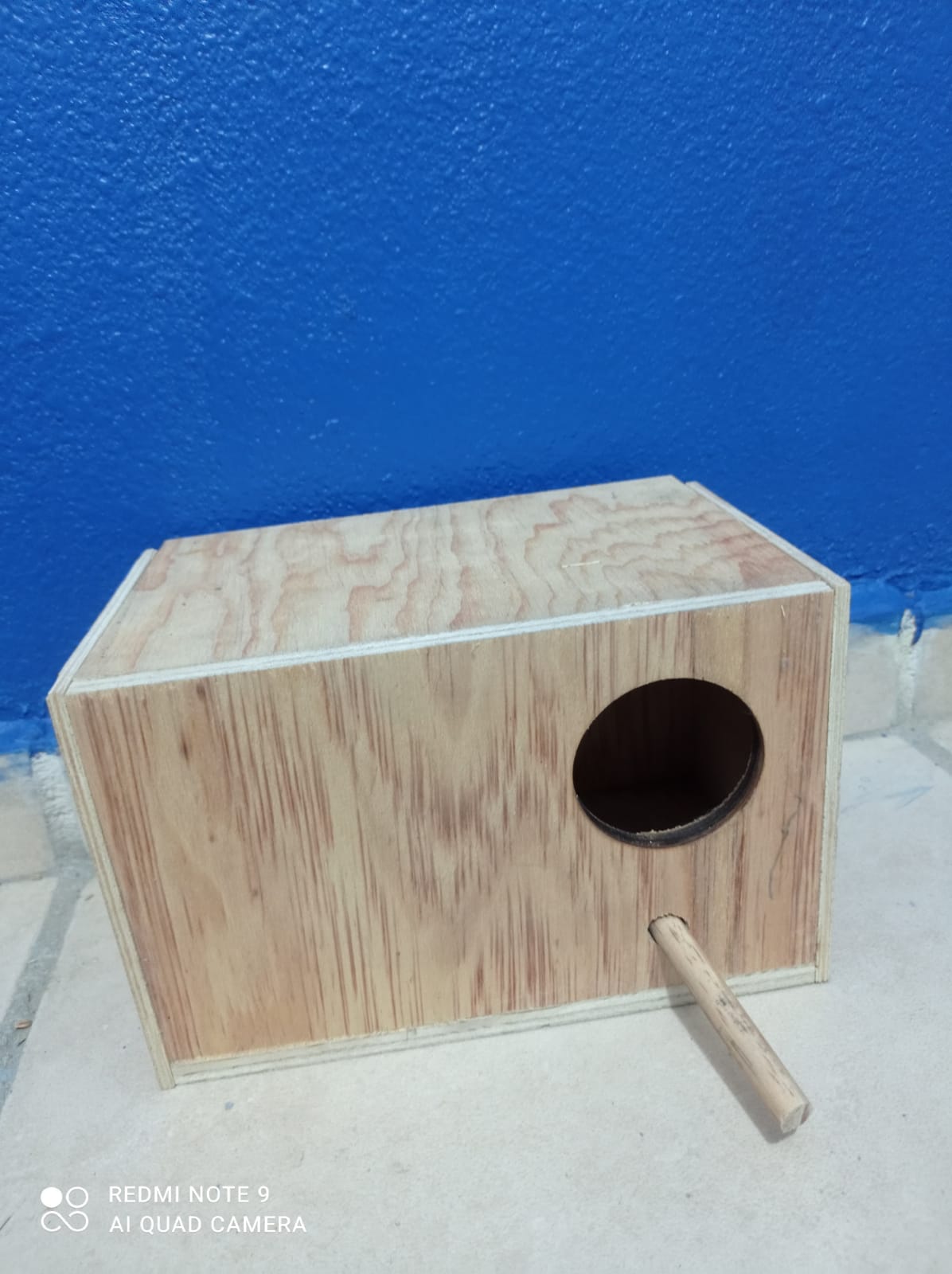 Nido de Madera Para Periquito