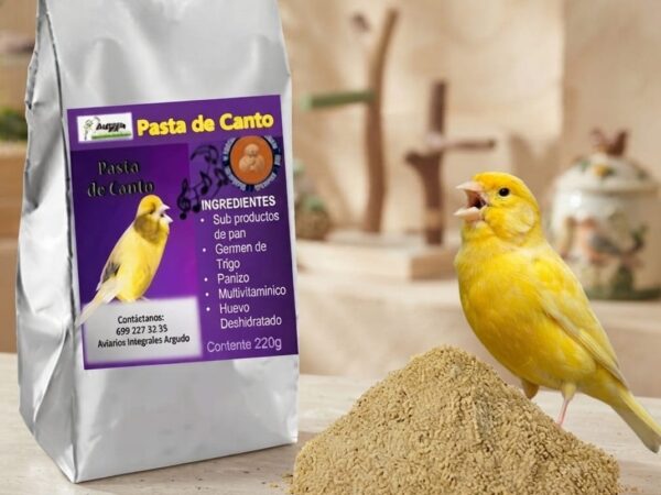 Pasta de Canto