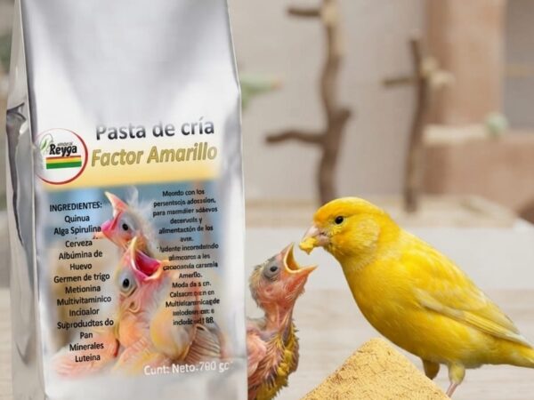 Pasta factor amarillo 750gr