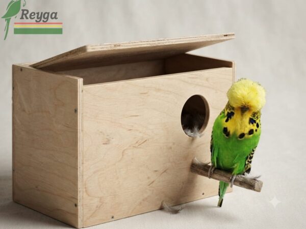 Nido ingles