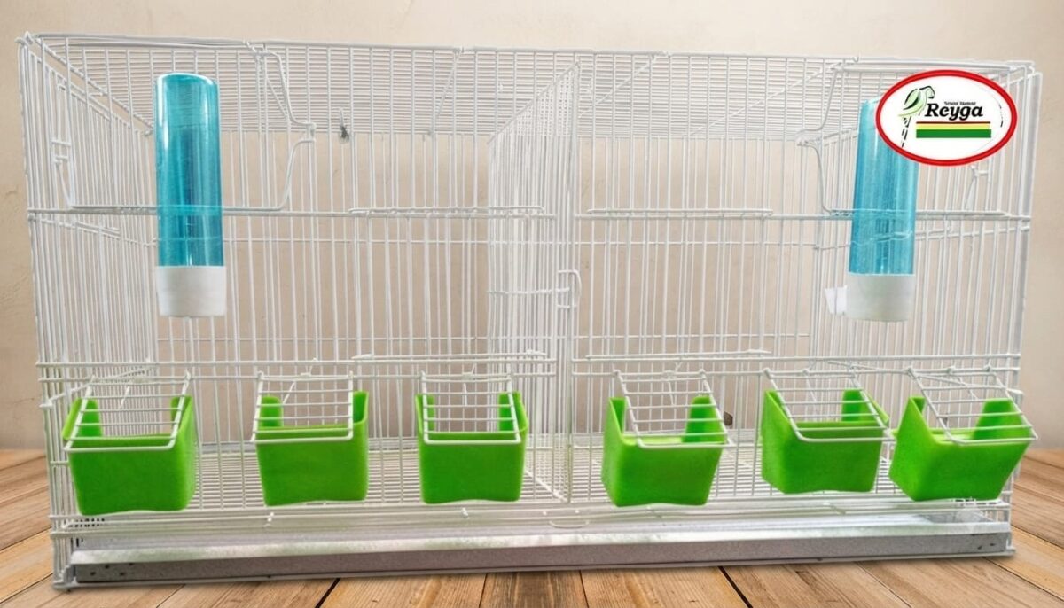 Jaula Criadora de 65 cm con Puertas de Resorte