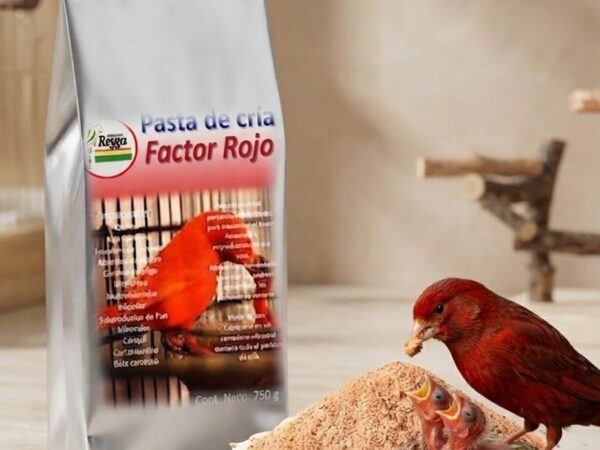 Pasta factor rojo 750gr